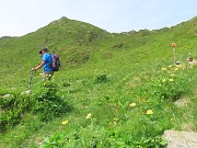37 Scesi da Forcella Rossa, seguendo la freccia, lasciamo il sent. 101 per riprendere il Sentiero delle panchine